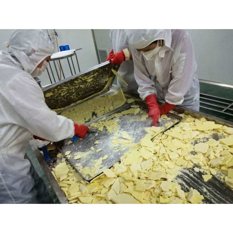 Lyophilized Royal Jelly Factory - 4%-6% Freeze Dried