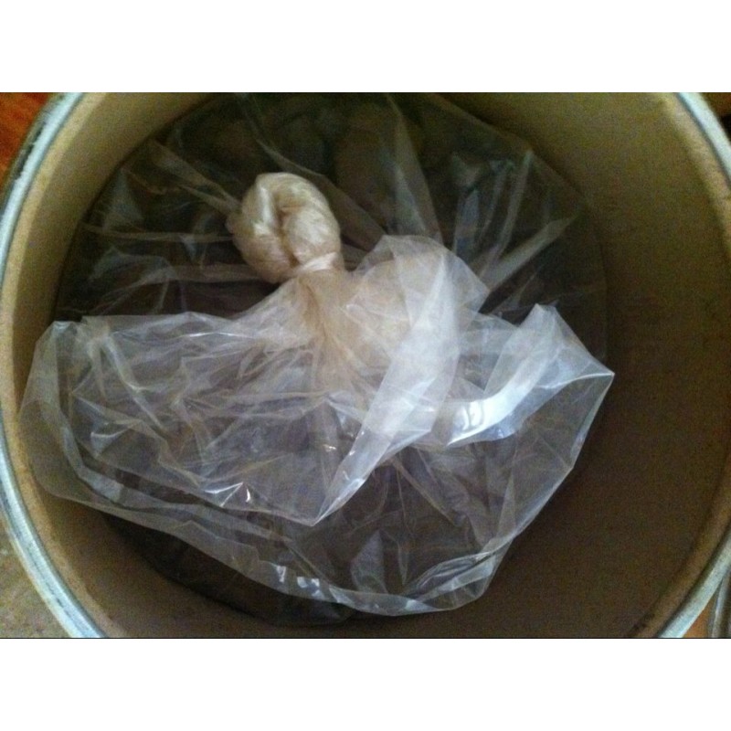 Bee Propolis Manufacturer - 98% Pure Propolis