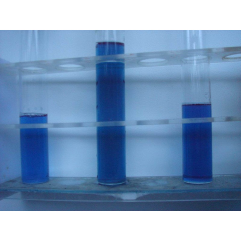 Spirulina Extract Manufacturer - Phycocyanin Extract