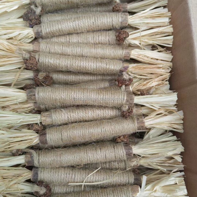 Matatabi Silvervine Sticks Manufacturer - Raffia Gall Fruit