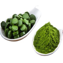 Chlorella Powder Manufacturer - Organic Green Powder