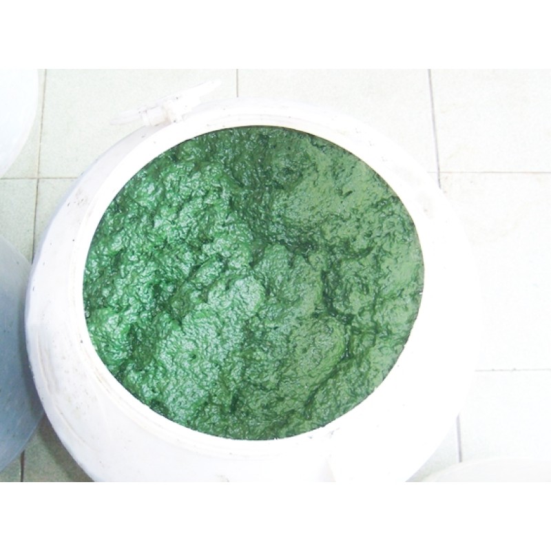 High Protein Spirulina Powder Manufacturer - 60% Protein