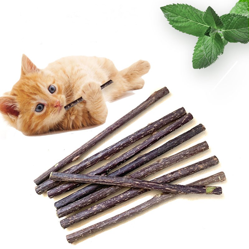 Matatabi Chew Sticks Factory - Natural Silvervine