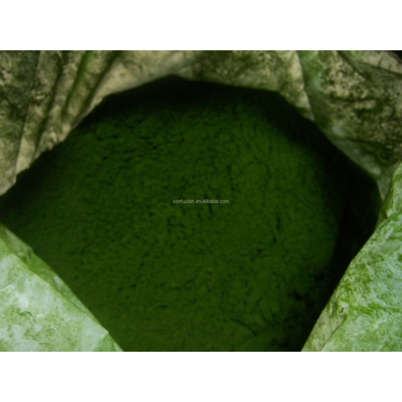 Chlorella Powder Manufacturer - Organic Green Powder