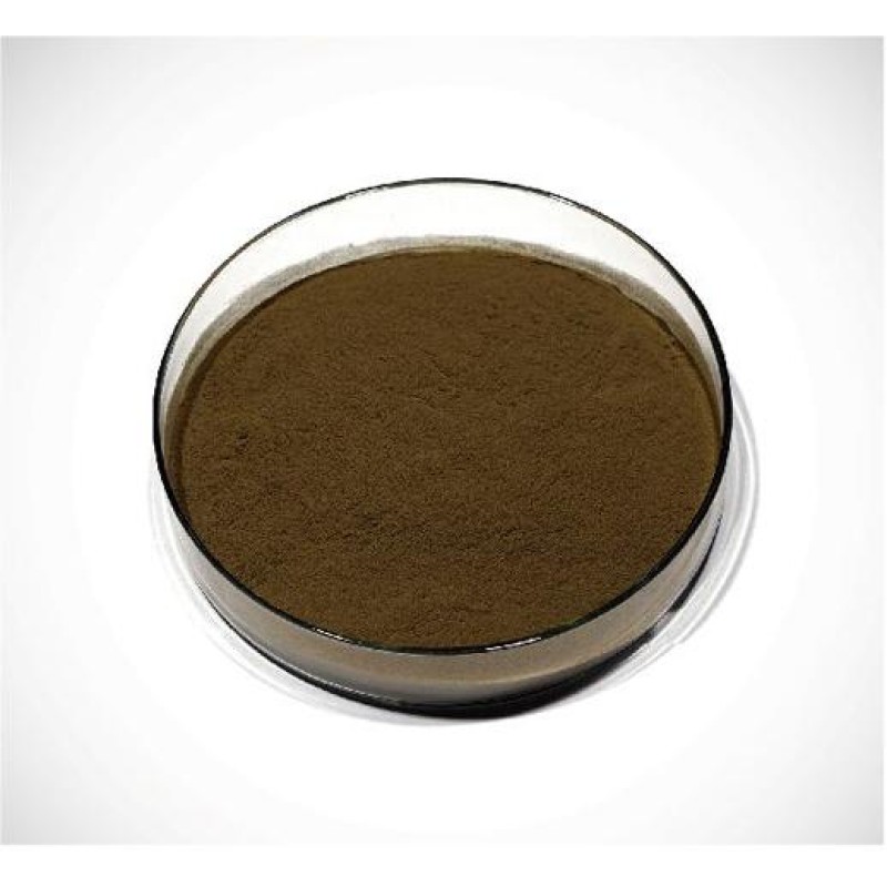 Chaga Mushroom Extract Factory - Inonotus Obliquus