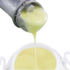 Royal Jelly Supplier - HACCP Fresh Royal Jelly