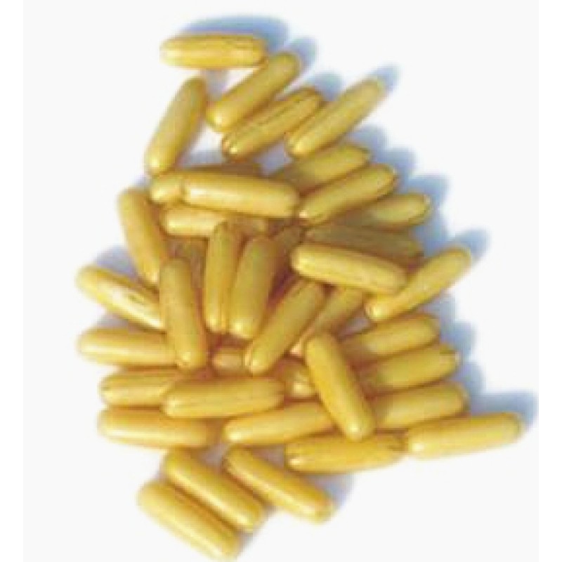 Royal Jelly Manufacturer - Hot Sale Bulk Wholesale