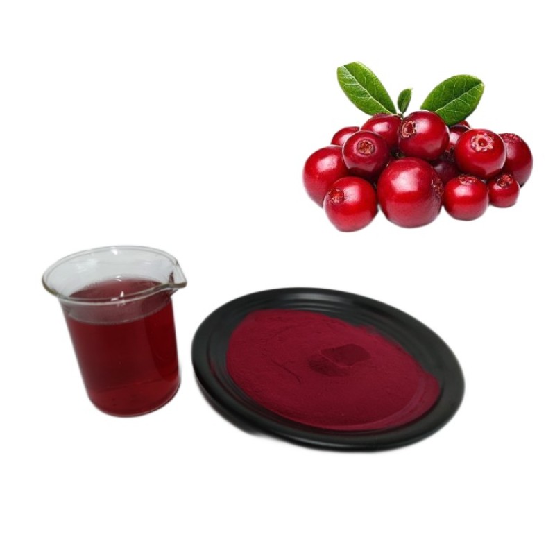 GMP Factory Supply Cranberry Fruit Powder Cranberry Extract Powder Cranberry Powder