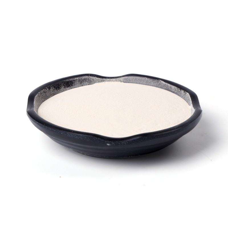 QYherb ISO Factory Supply High Quality Sea Cucumber Collagen Peptide 95%