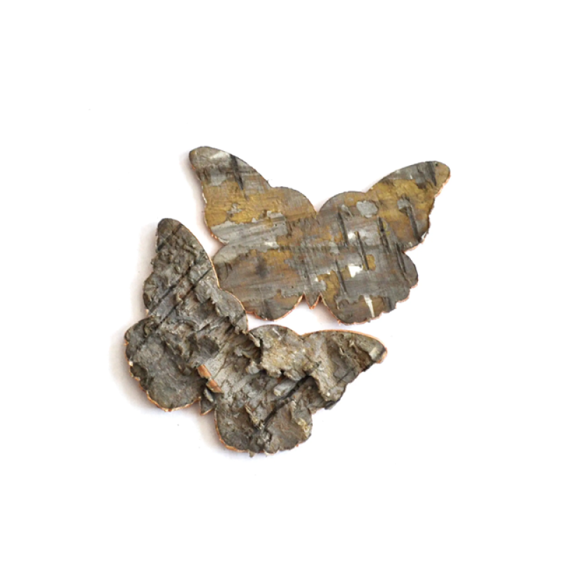 QYherb Factory Supply Plant Extract Birch Bark Extract Betulin 98% Powder Free Sample Available