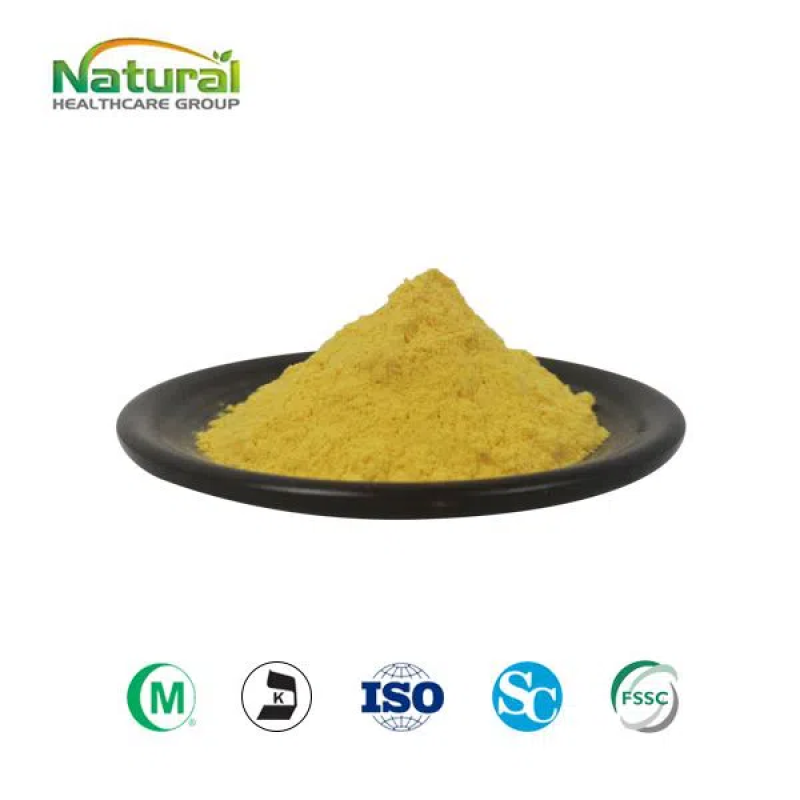 Organic Product QYHerb Supply Hot Selling High Quality Sea Buckthorn Powder Wholesale Price Pure Sea Buckthorn Juice Powder Product for Sale