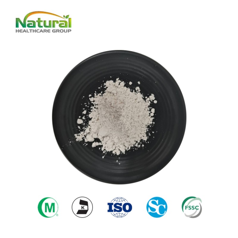 Factory Wholesales Bulk Plant Extract Birch Bark Extract Betulinic Acid 98% Powder