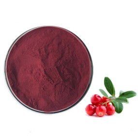 GMP Factory Supply Cranberry Fruit Powder Cranberry Extract Powder Cranberry Powder