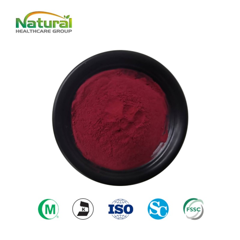100% Pure Blueberry Fruit Powder  Blueberry Concentrate Fruit Juice Powder
