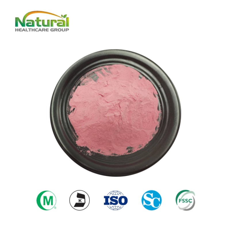 Organic Product Fresh Watermelon Powder Instant Watermelon Fruit Juice Powder Watermelon Powder Free Sample Wholesale Price
