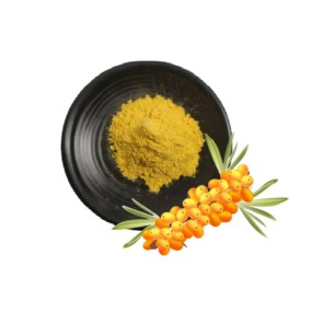 Organic Product QYHerb Supply Hot Selling High Quality Sea Buckthorn Powder Wholesale Price Pure Sea Buckthorn Juice Powder Product for Sale