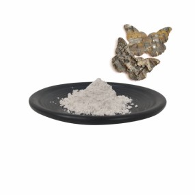 Factory Wholesales Bulk Plant Extract Birch Bark Extract Betulinic Acid 98% Powder