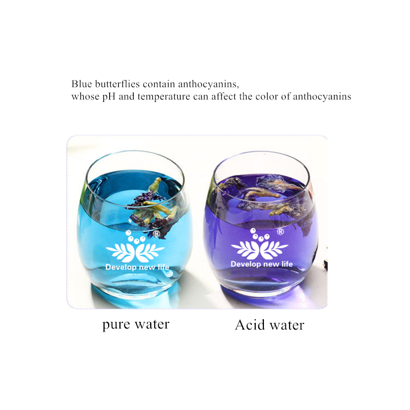 HACCP Factory Wholesales Bulk High Quality Blue Butterfly Powder /Butterfly Pea Extract Free Sample Available