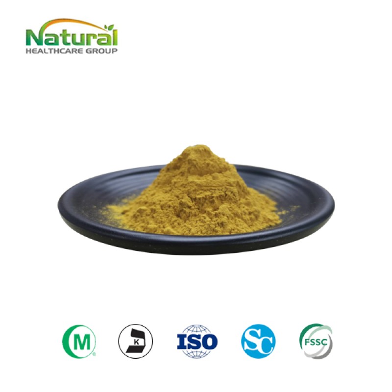Cosmetic Grade Plant Extract Centella Asiatica Extract Asiaticoside 40%  CAS 16830-15-2 Free Sample Available