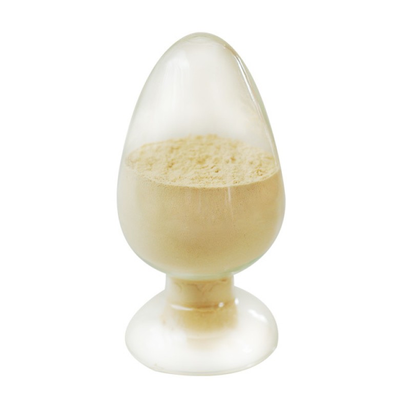 QYFactory Wholesale Hemp Protein Powder 70% Vegan Protein