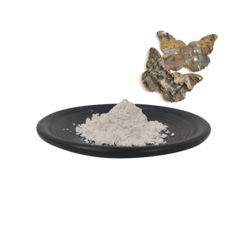 HACCP QYherb Factory Supply Ethanol & Water Birch Bark Extract Betulin Powder 98% Free Sample Available