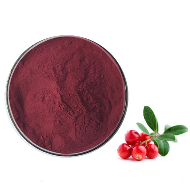 Bulk Wholesale Organic Natural Cranberry Fruit Extract Juice Drink Powder for Cranberry Gummies