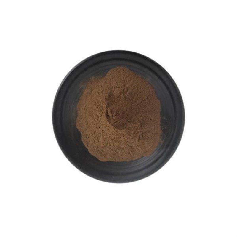 Siberian Chaga Extract Chaga Mushroom Extract Powder Chaga Extract