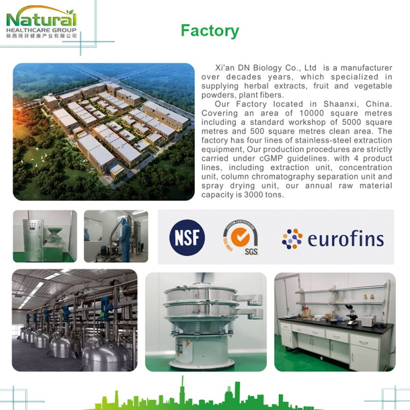 Manufacturers Price Pure2% 10% Ajuga Turkestanica Turkesterone Extract Bulk Turkesterone Powder for Sale