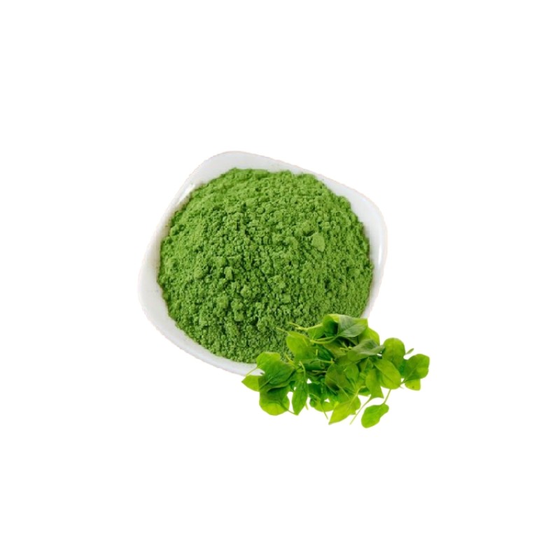 Organic Product Supply Organic Water Soluble Spinach Leaf Juice Powder Product Wholesale Price for Sale