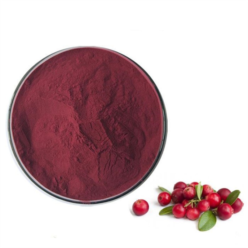Bulk Wholesale Organic Natural Cranberry Fruit Extract Juice Drink Powder for Cranberry Gummies