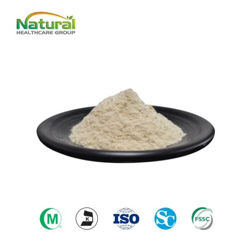 Organic Product QYHerb Supply High Quality Avocado Fruit Powder Wholesale Price Avocado Fruit Juice Powder Product for Sale