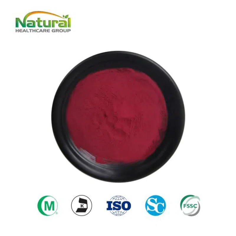 Organic Product QYHerb Supply Halal Kosher Certified Red Beetroot Juice Powder Freeze Dried Beetroot Juice Powder Best Price Free Sample