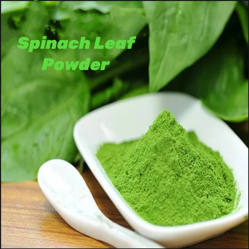 Organic Product Supply Organic Water Soluble Spinach Leaf Juice Powder Product Wholesale Price for Sale