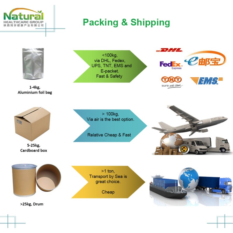 GMP Natural High Quality CAS 138-52-3 Salicin Salix Alba Extract White Willow Bark Extract