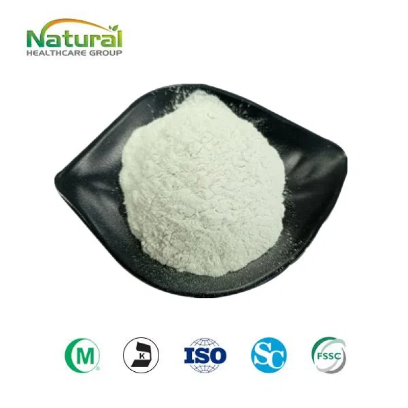 Organic Product QYHerb Supply High Quality Avocado Fruit Powder Wholesale Price Avocado Fruit Juice Powder Product for Sale