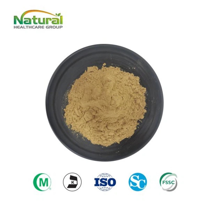 Shaanxi Natural Herb Wholesales High Quality Maca Extract Powder Low Price Maca Extract with Big Stock Use Delivery in 2 Days