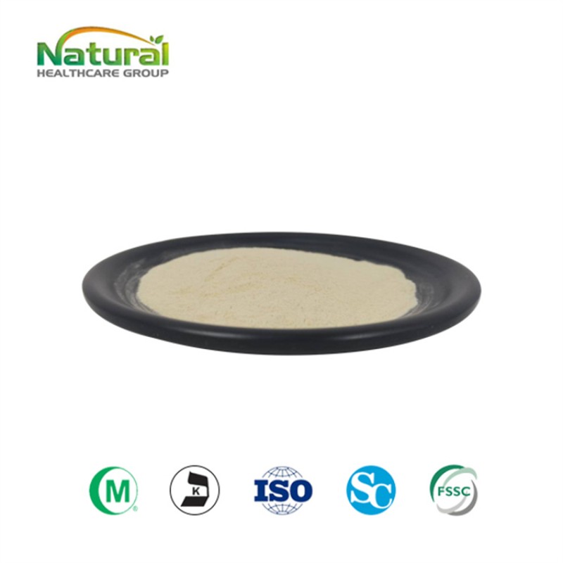 Top Grade Natural Korean Ginseng Powder  Red Ginseng Root Extract Powder