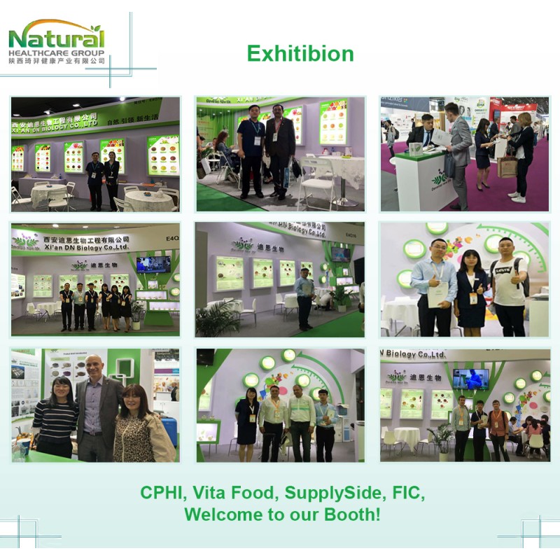 Manufacturers Price Pure2% 10% Ajuga Turkestanica Turkesterone Extract Bulk Turkesterone Powder for Sale