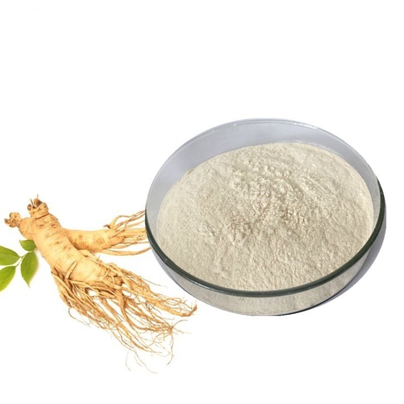 Top Grade Korean Red Ginseng Powder, Red Ginseng Root Extract Powder