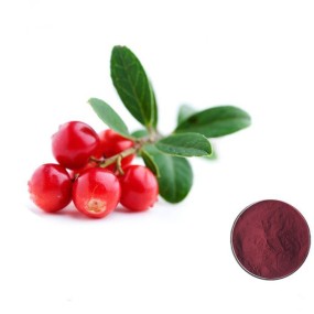 Bulk Wholesale Organic Natural Cranberry Fruit Extract Juice Drink Powder for Cranberry Gummies