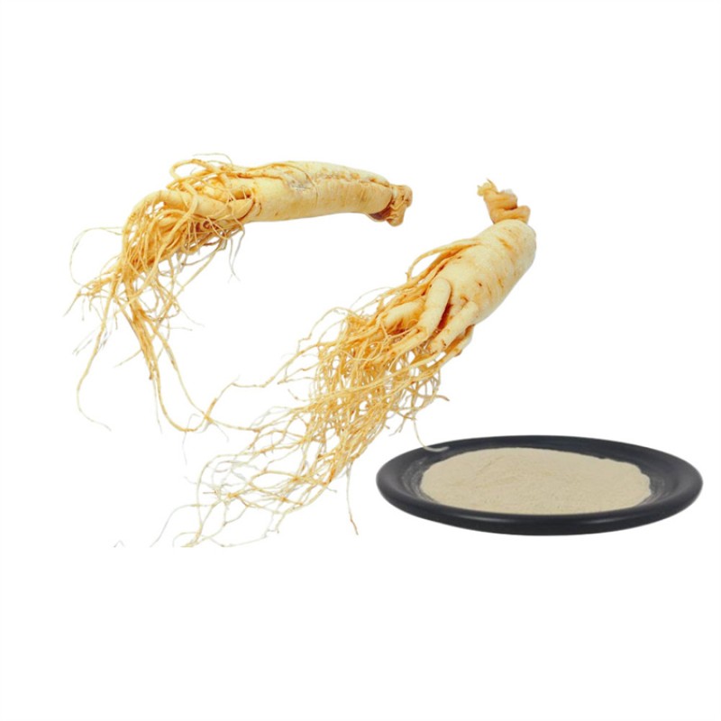 Hot Sell Water Soluble Korean Red Ginseng Root Extract in Stock Panax Ginseng Extract Powder