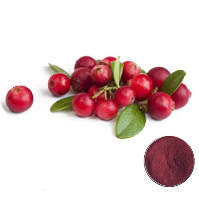 Bulk Wholesale Organic Natural Cranberry Fruit Extract Juice Drink Powder for Cranberry Gummies