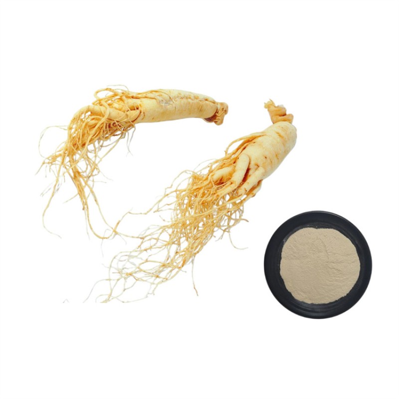 Top Grade Natural Korean Ginseng Powder  Red Ginseng Root Extract Powder