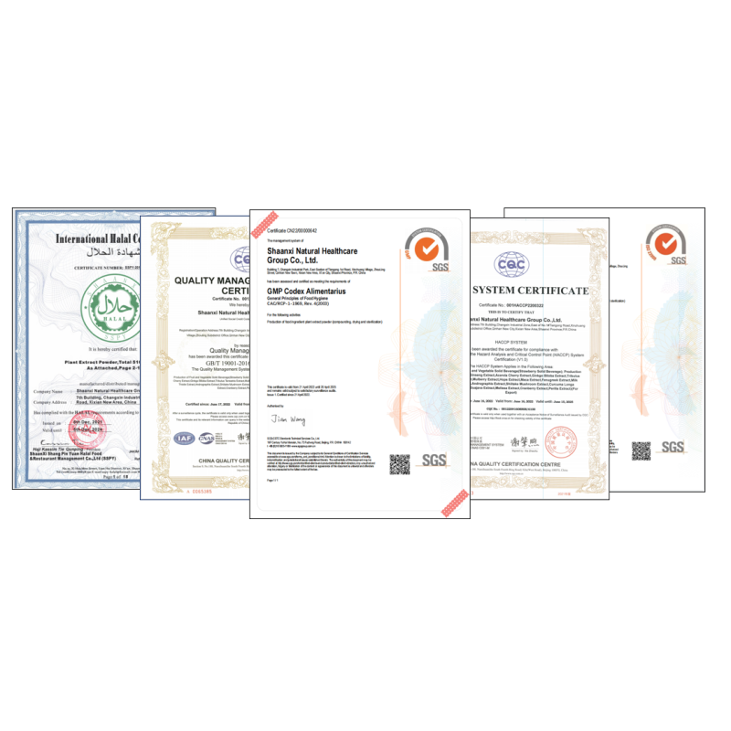 Top Quality Collagen I Type Bovine Collagen Hydrolyzed 90% Powder Free Sample