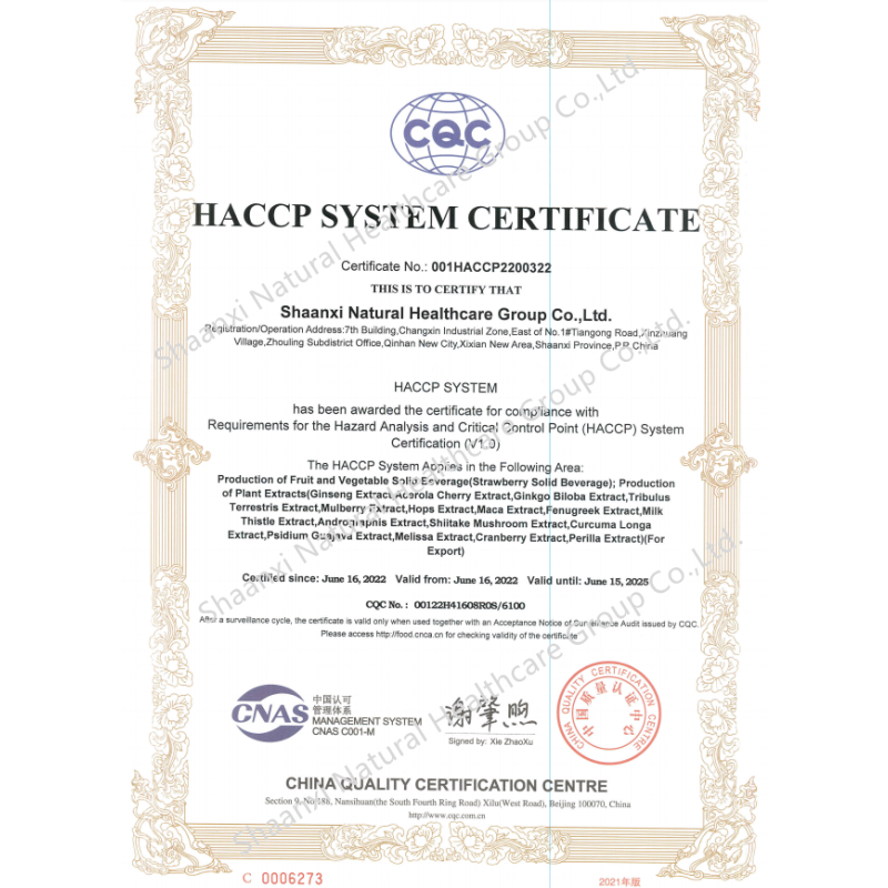 Food Supplements Vitamin B1 B2 B3 B5 B6 B12 99% Vitamin B Complex Powder