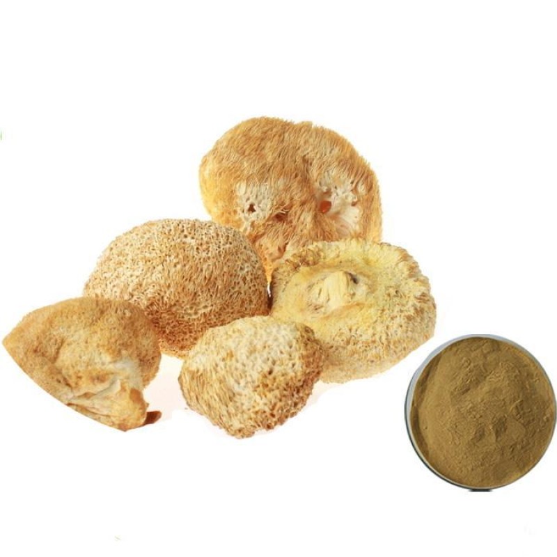 High Quality Organic Lions Main Hericium Erinaceus Extract Powder Lions Mane Extract