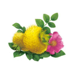 Fruit and vegetable powder