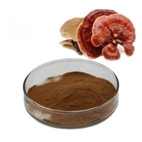 Buy Health Food Wholesale Ganoderma Lucidum Mycelium Powder Organic Red Reishi Mushroom Extract