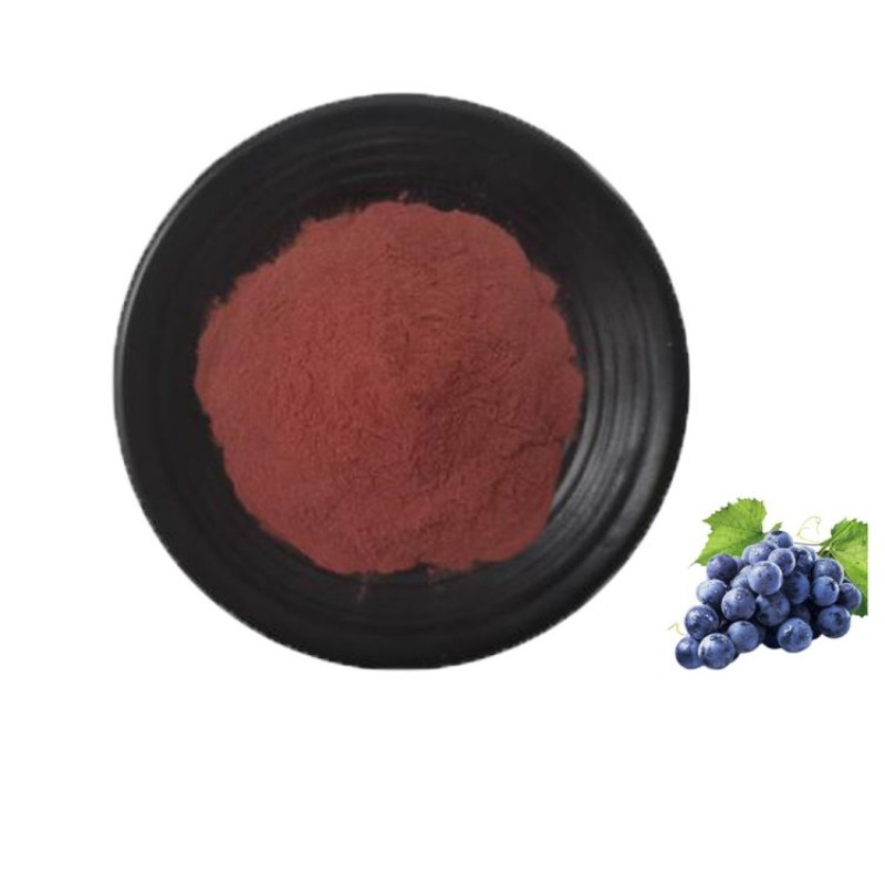 100% Pure Blueberry Fruit Powder  Blueberry Concentrate Fruit Juice Powder