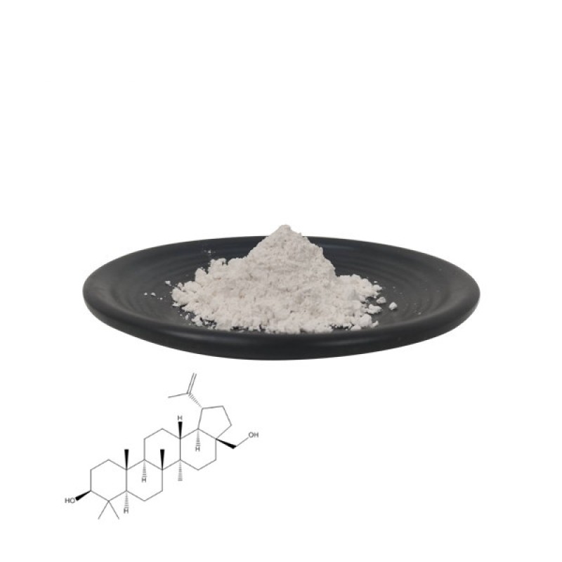 QYherb Factory Supply Plant Extract Birch Bark Extract Betulin 98% Powder Free Sample Available